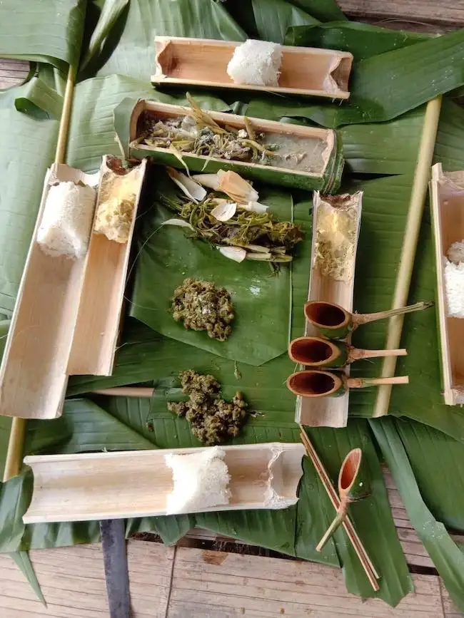 Randonnée d'une journée : Bambou